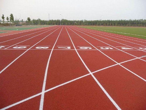 黑龍江橡膠跑道銷售價(jià)格