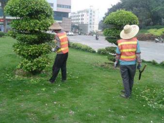 園林綠化施工、養(yǎng)護(hù),草皮銷(xiāo)售及種植,園區(qū)、市政等改造工程