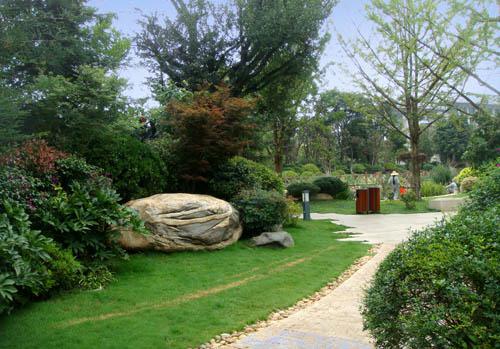 施工現(xiàn)場(chǎng)實(shí)拍 #園林綠化工程 #工地實(shí)景拍攝 一壺老酒入.