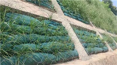 00元/千克南昌荒山植草復(fù)綠植生袋綠化護坡施工廈門三水園林綠化工程