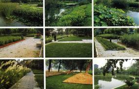 各種綠化、景觀鋪裝工程的設(shè)計(jì)與施工,園林綠化工程的養(yǎng)護(hù);園林綠化苗木、草皮、花卉的種植,銷售(廣西南寧)_CO土木在線