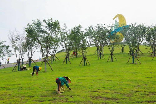 今日小滿,大王山遇夏