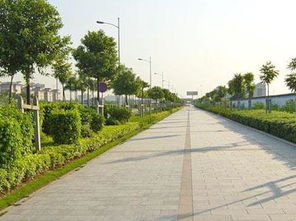 如何在市政道路園林施工完善綠化養(yǎng)護管理 好養(yǎng)護