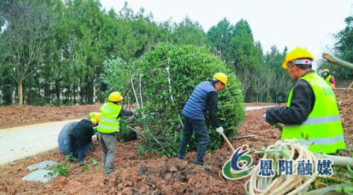 假期不停工，大梁山城市公園建設(shè)加速推進體育場地設(shè)施工程